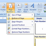 Page Numbers 2