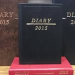 Diaries 1